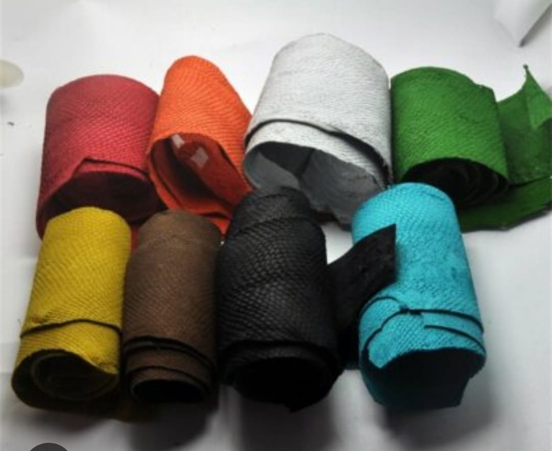 WhatsApp Image 2026-01-06 at 4.23.11 PM